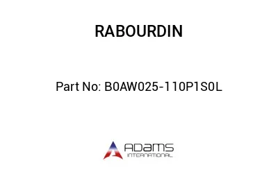 B0AW025-110P1S0L